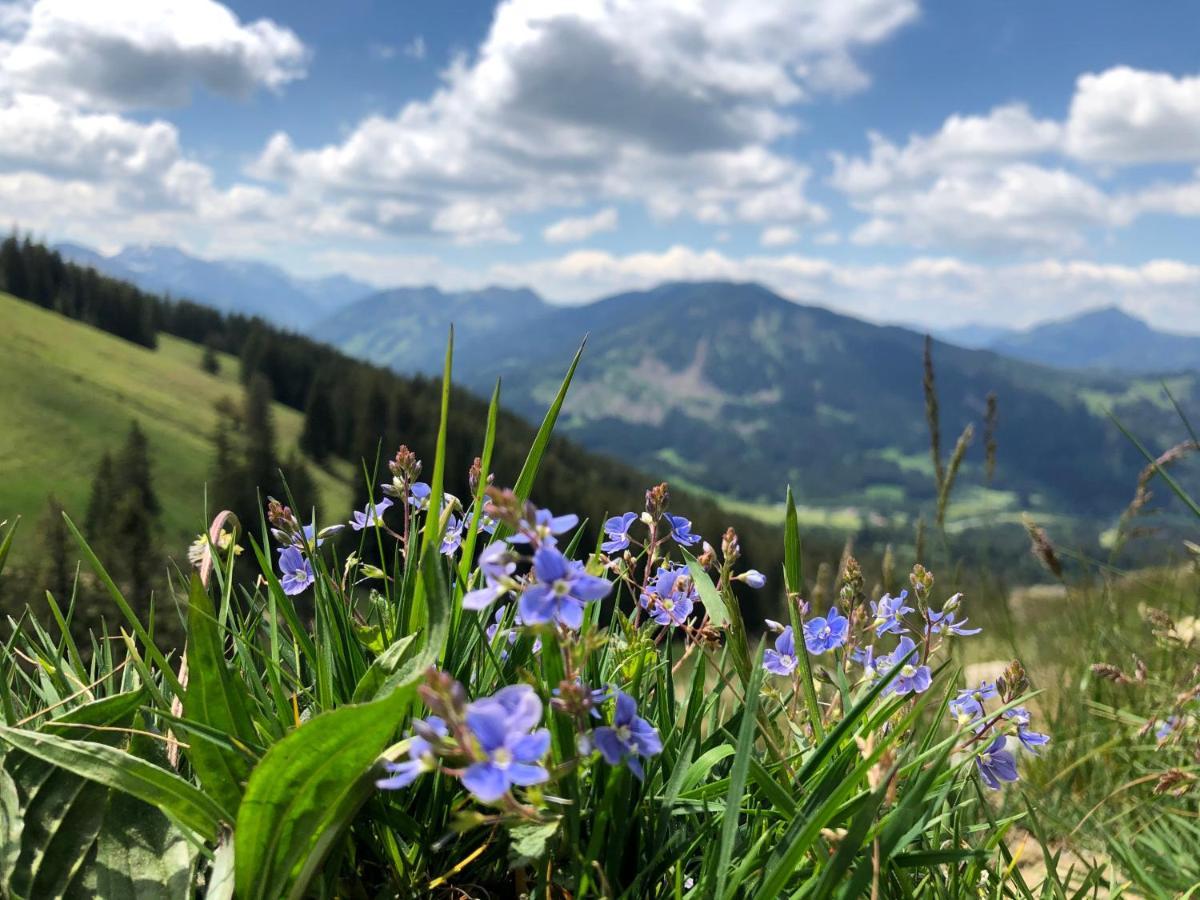 Bergquell Tirol Apartment Юнгхолц Екстериор снимка