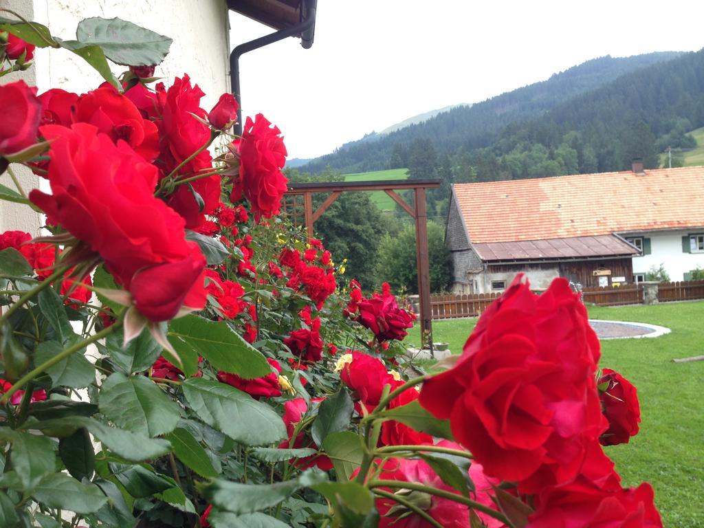 Bergquell Tirol Apartment Юнгхолц Екстериор снимка